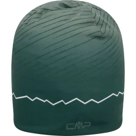cmp-6505824-비니