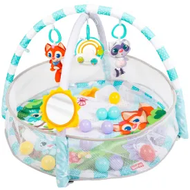 winfun-ball-baby-gym-refurbished