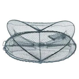expert-predator-cuttlefish-48078-aalreuse