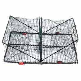 expert-predator-cuttlefish-aalreuse