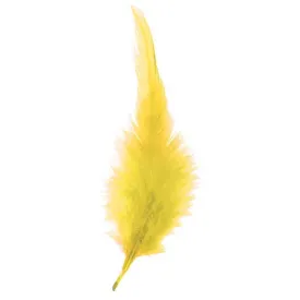 expert-predator-marabou-깃털