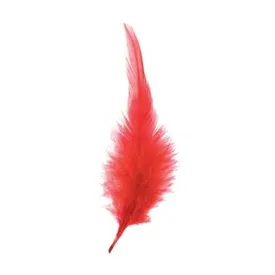 expert-predator-marabou-羽毛