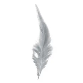 expert-predator-marabou-羽毛