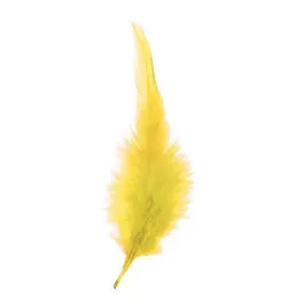 expert-predator-marabou-깃털