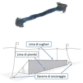 expert-predator-rede-de-parede