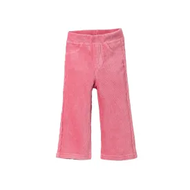 zippy-calcas-3107481701