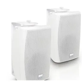 ld-systems-ldcwms42w100v-speaker
