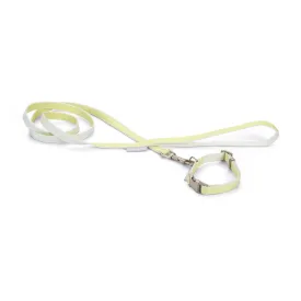 beeztees-collare-per-cani-jicca