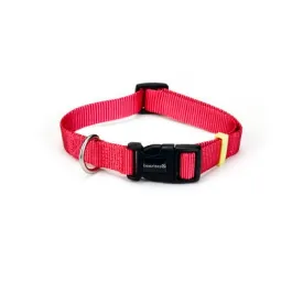 beeztees-collare-per-cani-uni