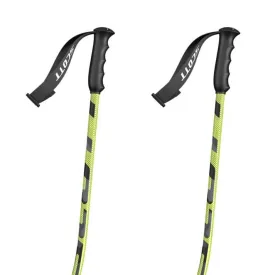 scott-team-issue-junior-poles