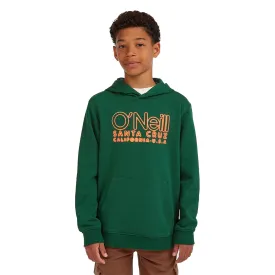 oneill-essentials-kapuzenpullover