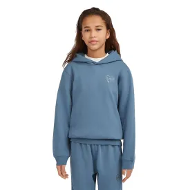 oneill-essentials-hoodie