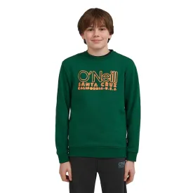 oneill-essentials-スウェットシャツ