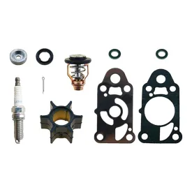 recmar-mercury-2.5-maintenance-set