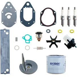 recmar-mercury-40-maintenance-set