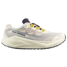 salomon-aero-blaze-3-grvl-goretex-running-shoes