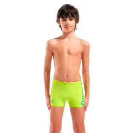 arena-graphic-swimming-shorts