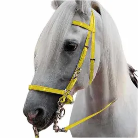 marjoman-capezza-biotane-raid-reins