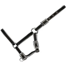 usg-foal-halter