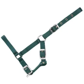 usg-foal-halter