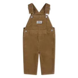 levis---mono-corto-corduroy