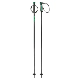 head-frontside-poles
