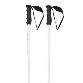 head-worldcup-sl-poles