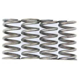trw-mef147-4-clutch-spring-kit