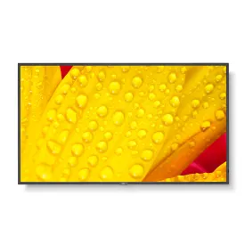 nec-multisync-m551-2-50-모니터