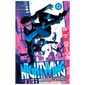 panini-nightwing-02-만화