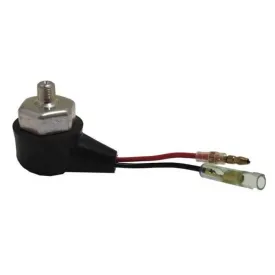 fischer-panda-interruptor-de-pressao-9.5-mm