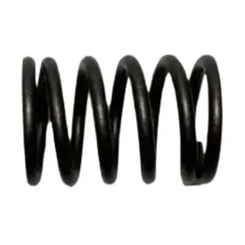 fischer-panda-spring-for-kubota-diesel-engine