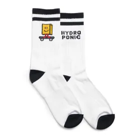 hydroponic-paperbag-sokken