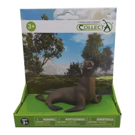 collecta-zeeleeuw-op-platform
