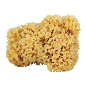 docksoap-eponge-naturelle