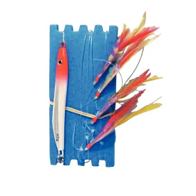 kerfil-mackerel-squid-weicher-koder