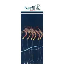 kerfil-train-eels-绑钩