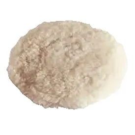 oem-marine-polijstpad