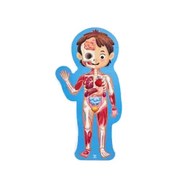 hape-인체-퍼즐