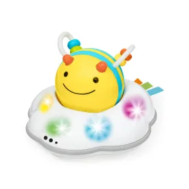 skip-hop-bee-catching-toy