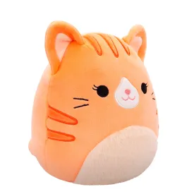 squishmallows-w20-19-cm-teddy