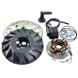 polini-1710550-ignition-kit