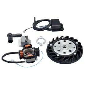 polini-1710556-ignition-kit