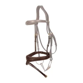 dyon-anatomic-special-fei-nesereimer