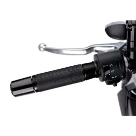 puig-ascent-1-griffe