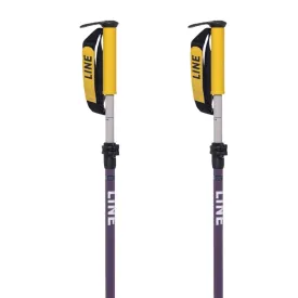 line-paintbrush-poles