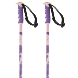 salomon-batons-steep