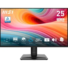 msi-pro-mp251-e2-24-full-hd-ips-led-100hz-monitor