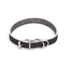 nobleza-dog-collar-assorted