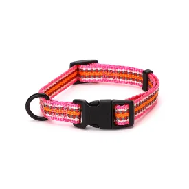 nobleza-dog-collar-assorted
